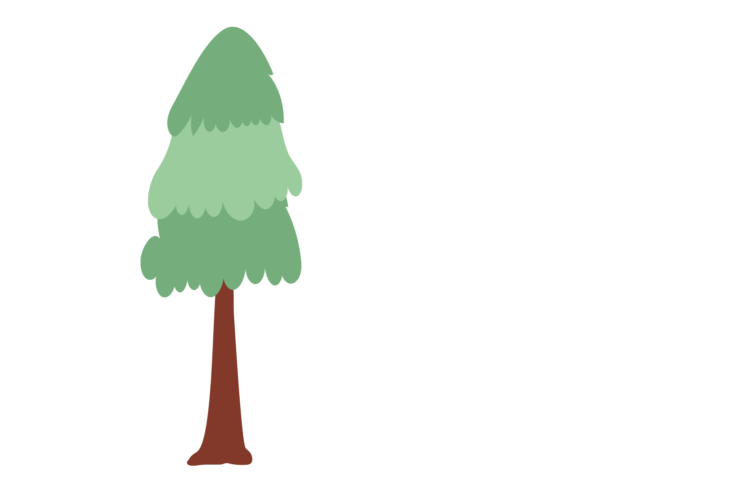 Un sapin